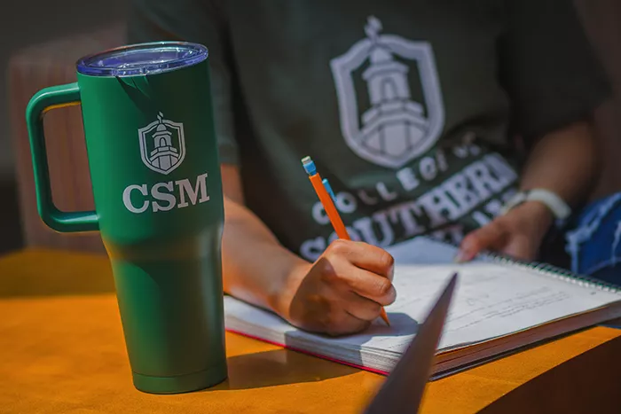 Examples of promo items with the CSM logo