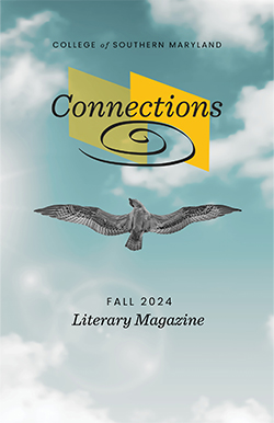 Cover of the Fall 2024 edition of the "Connections" literary magazine showing a real photo underneath of a hawk flying in the cloudy but bright sky